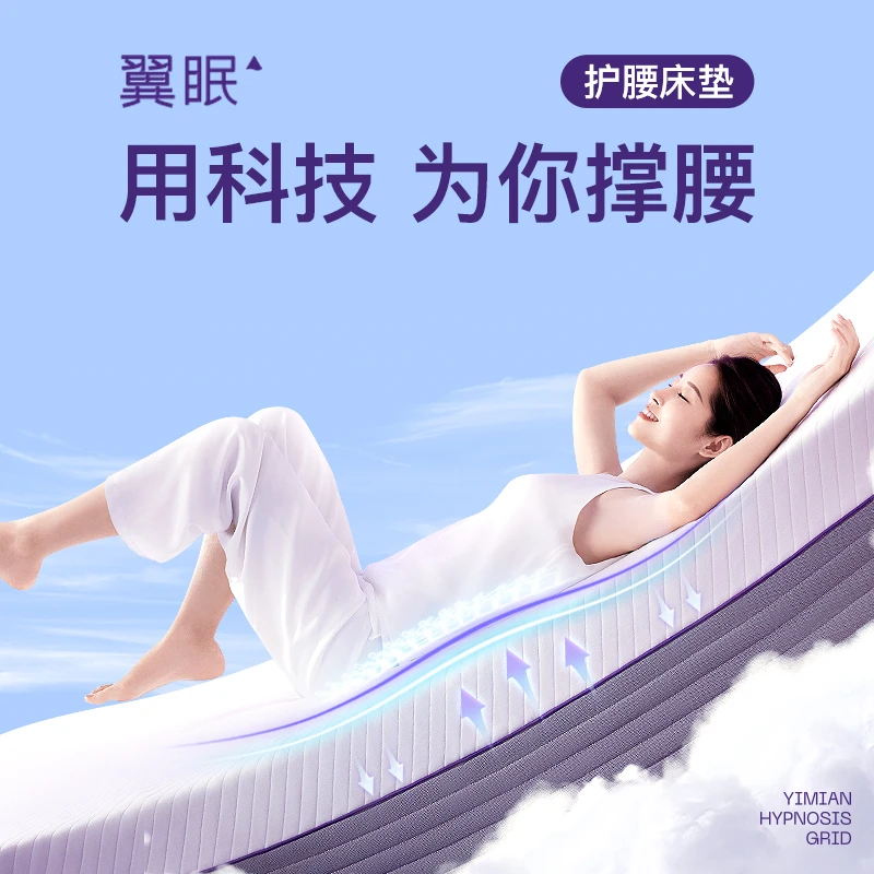 【翼眠3系厚款】深睡护腰家用加厚黑科技TPE静音防螨榻榻米垫子