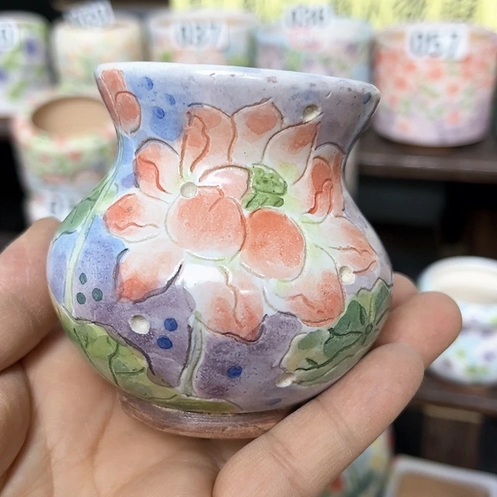 红陶170CM（含）-200CM（不含）兔*