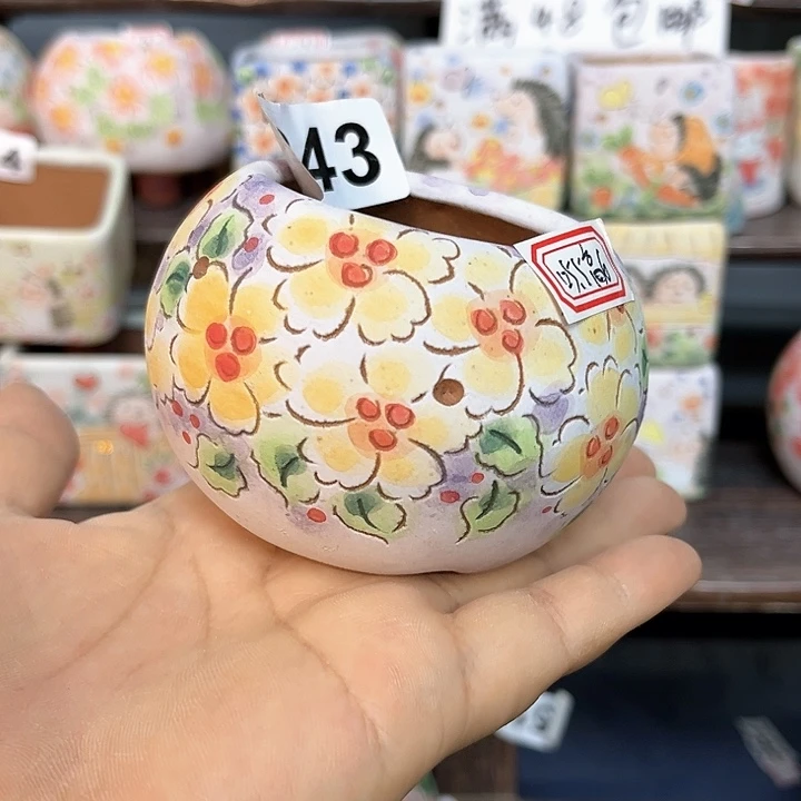 红陶20CM（含）-50CM（不含）鸽*_