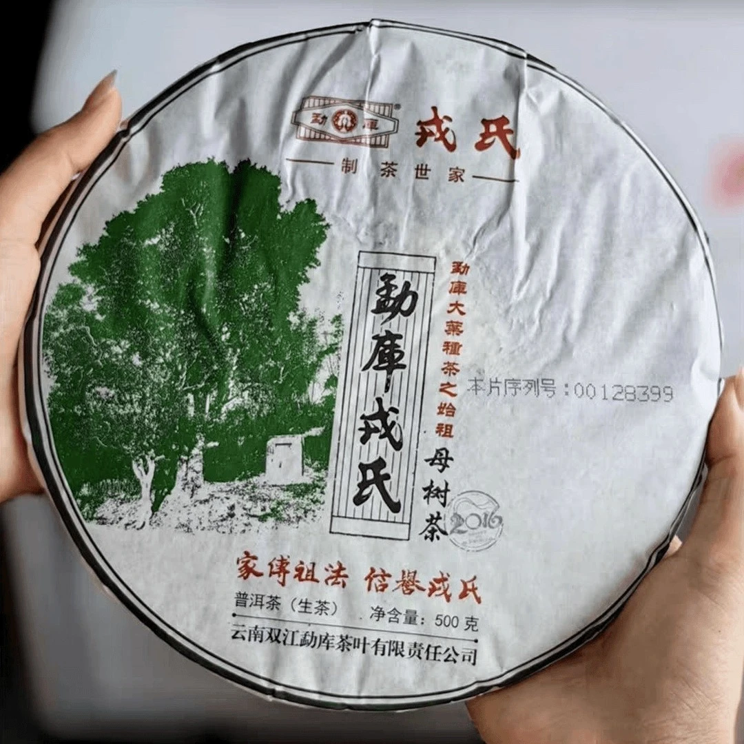 2016年 RS母树 生茶500g