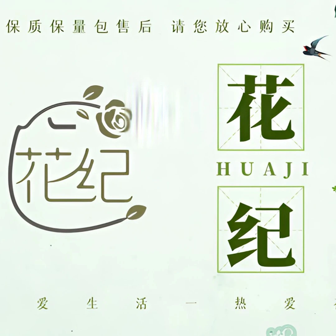 《花纪》一加仑月季棒棒糖（绿植险）露天苗带花苞小白必选阳台庭院栽