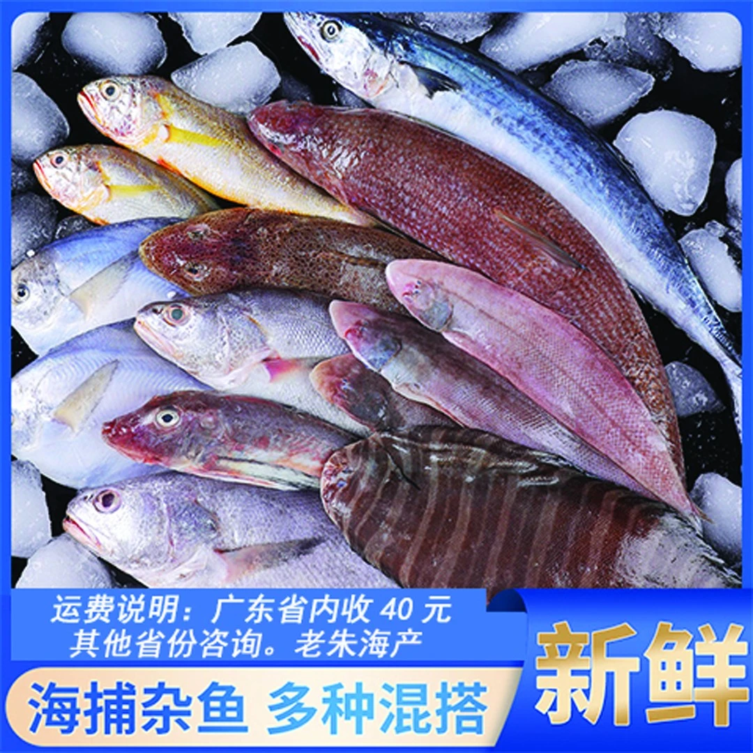 野生杂鱼 现场称重 八斤内