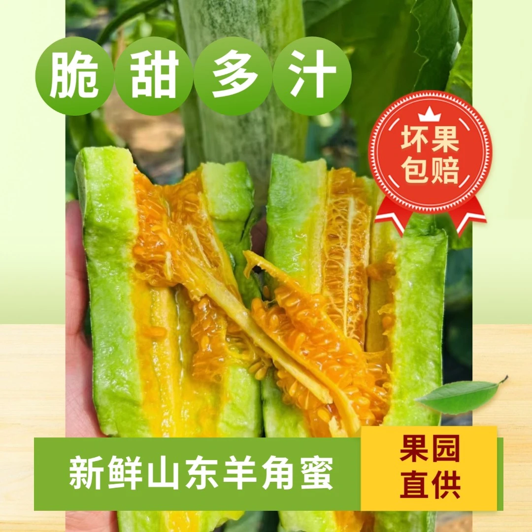 【顺丰包邮】山东羊角蜜甜瓜鲜香甜脆甜多汁应季水果现摘现发3-5斤