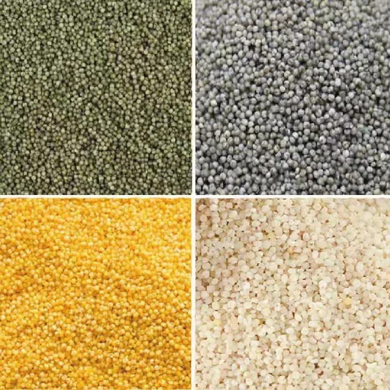 中国铁建 河北万全 禾久 四色小米 400g*5