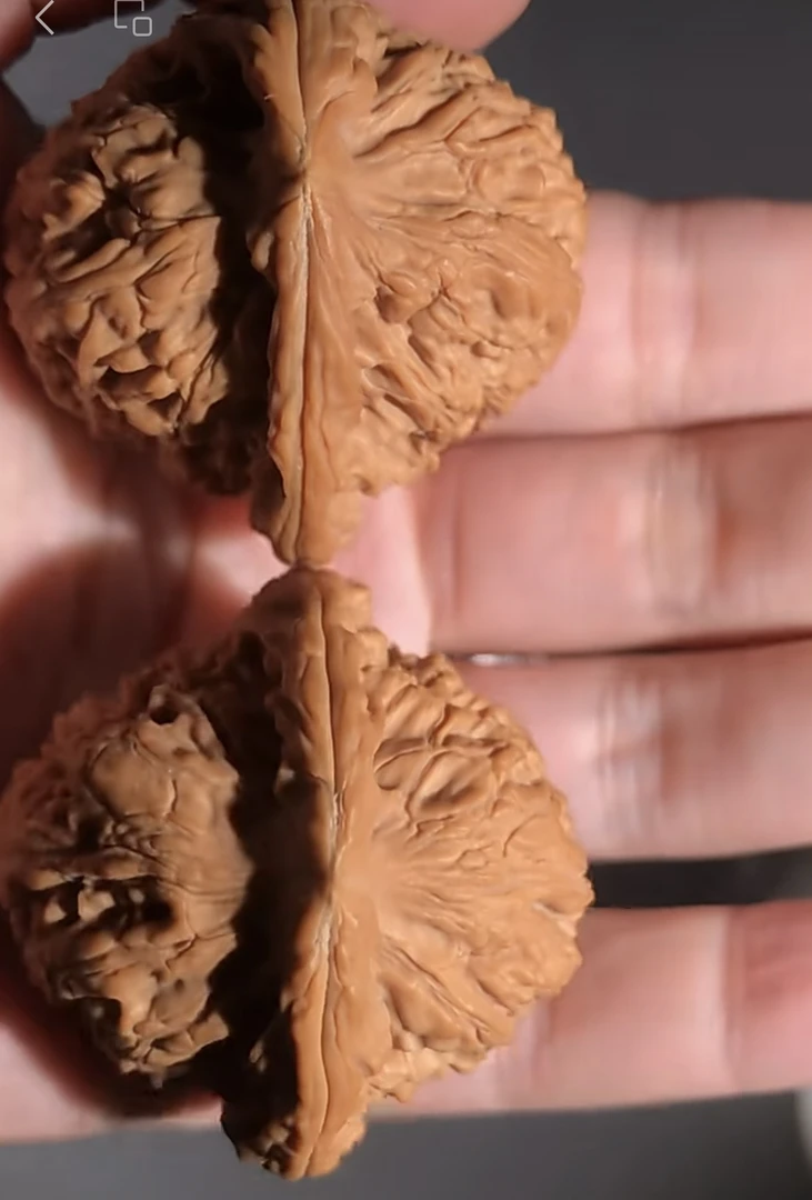 文玩核桃白狮子，四座楼，南疆石