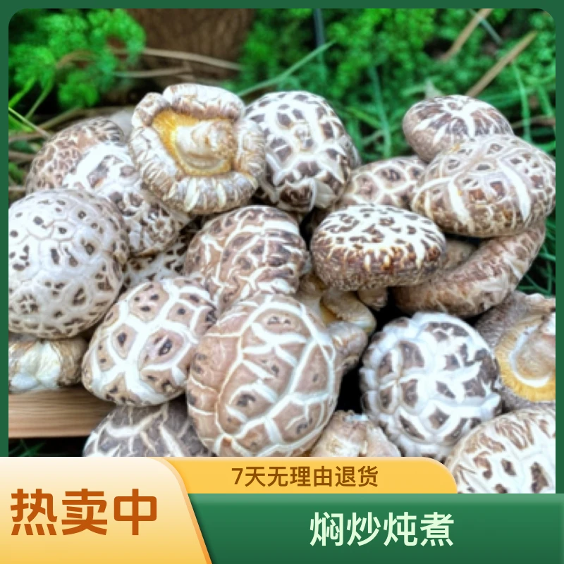 随州大花菇干货直径6到7厘米香味浓郁肉厚