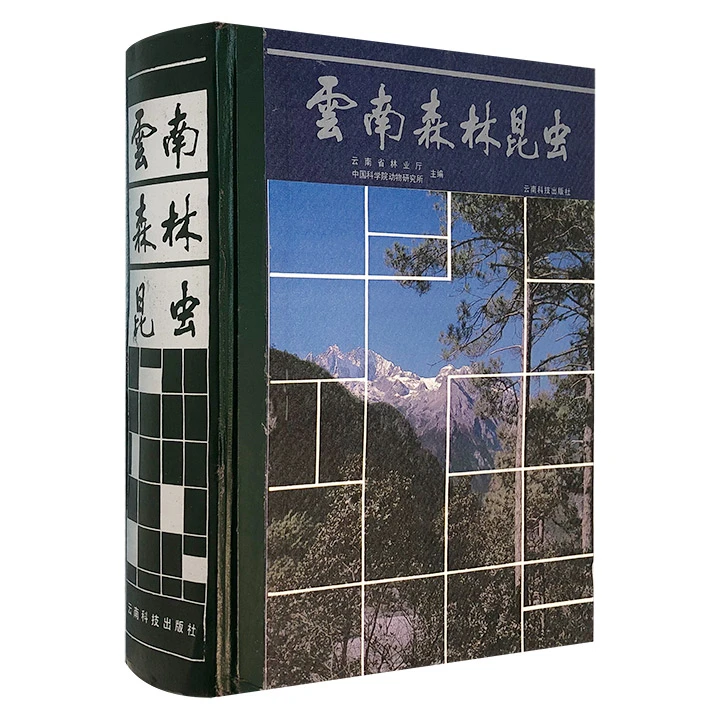 云南森林昆虫 正版【老版书有黄斑】