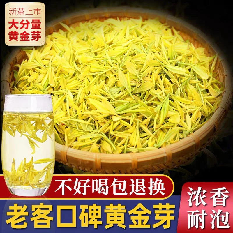 【周年补贴款】K08款黄金芽正宗雨前高山新茶春茶绿茶浓香耐泡S2
