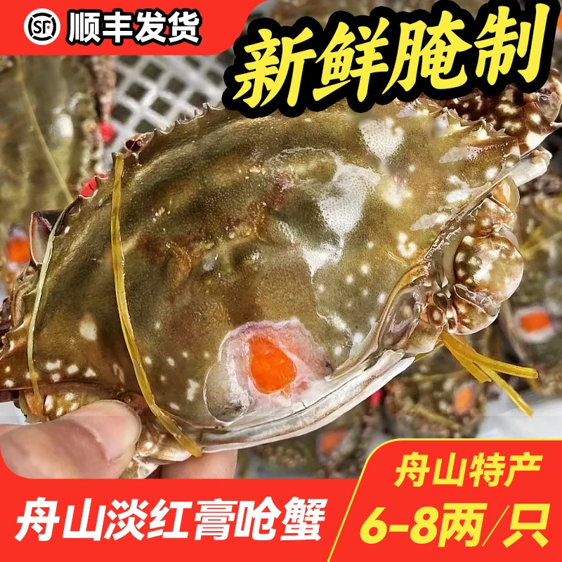 淡红膏呛蟹 6-8两/只 舟山新鲜腌制 生腌呛蟹 （生吃不可蒸煮)