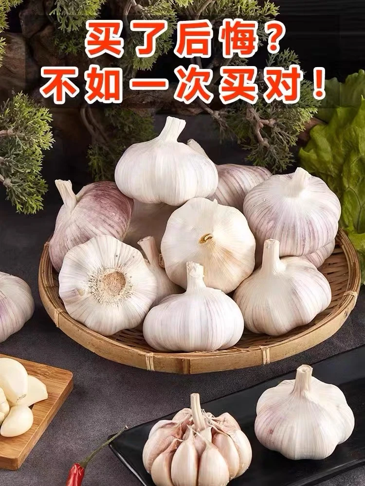 【正宗包邮】新干蒜应季干净辣味0.5-5斤批发紫皮大蒜头蒜瓣自种优
