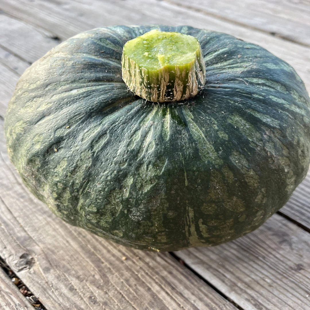 农产品东北面窝瓜3到4斤包邮 就是老家的味道