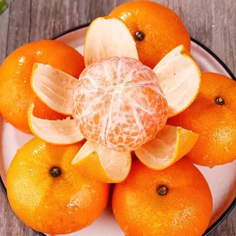 云南大理宾川沃柑5斤当季新鲜水果整箱沙糖蜜橘砂糖柑橘桔子橘子