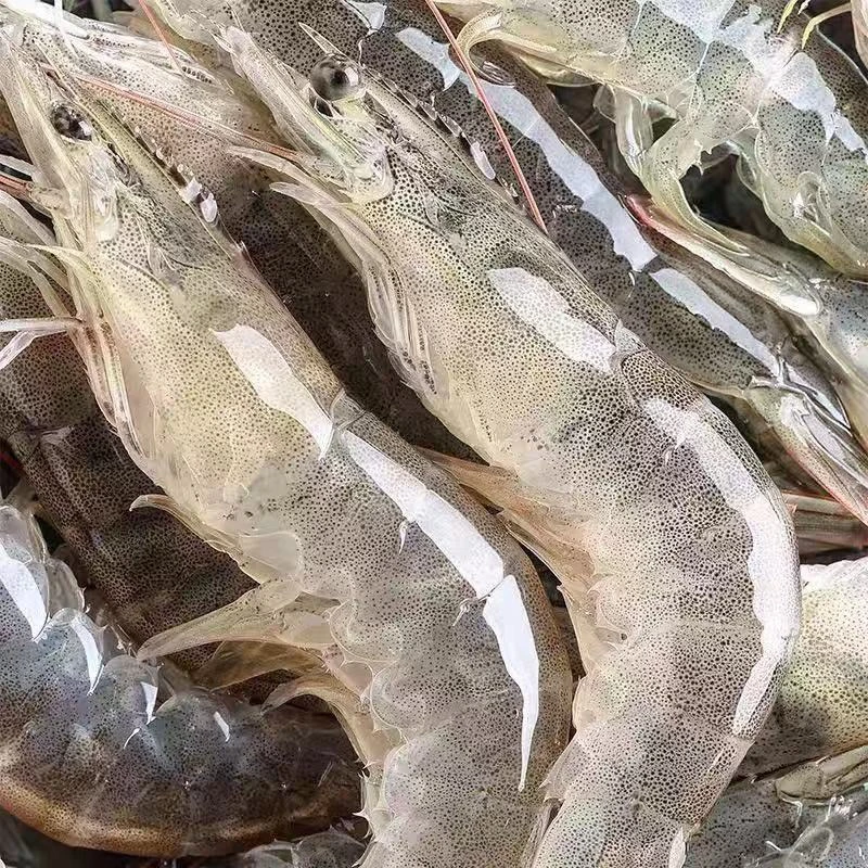 连云港发货 速冻大虾 20-30规格 3.3斤/盒到手约38-48只左右