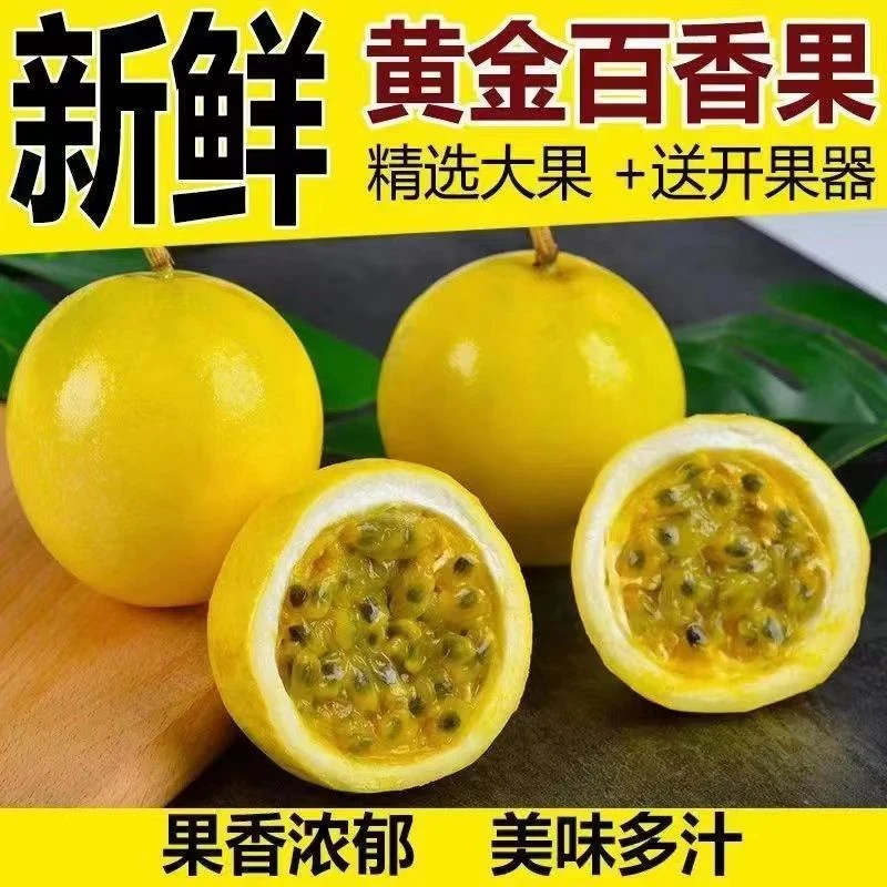 【香甜多汁钦蜜九号】广西黄金百香果新鲜水果当季产地直发