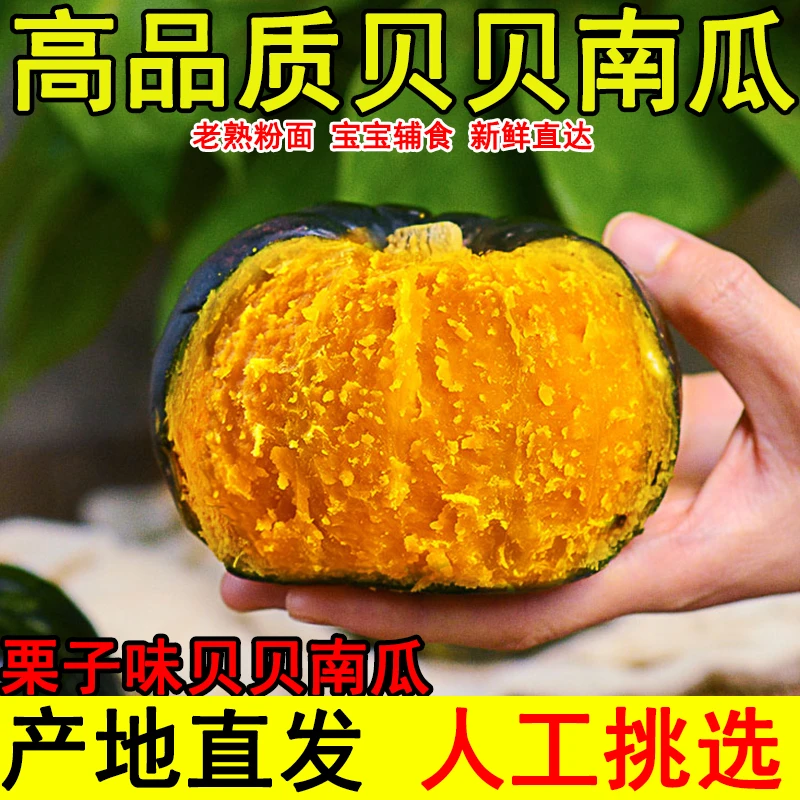 惠和一号贝贝南瓜4.5斤装（4-9个）粉糯香甜板栗