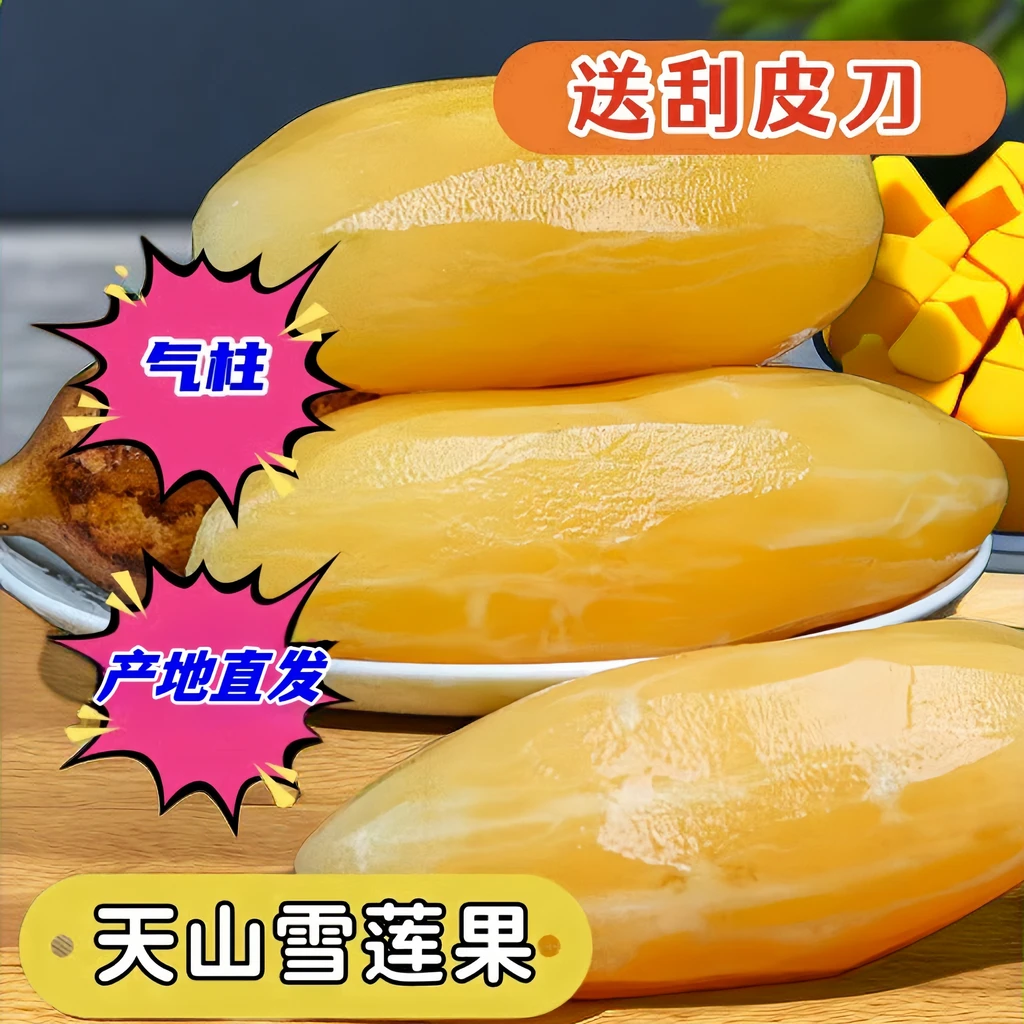 云南天山雪莲果正宗产地直发黄心营养多汁低糖低热量水果