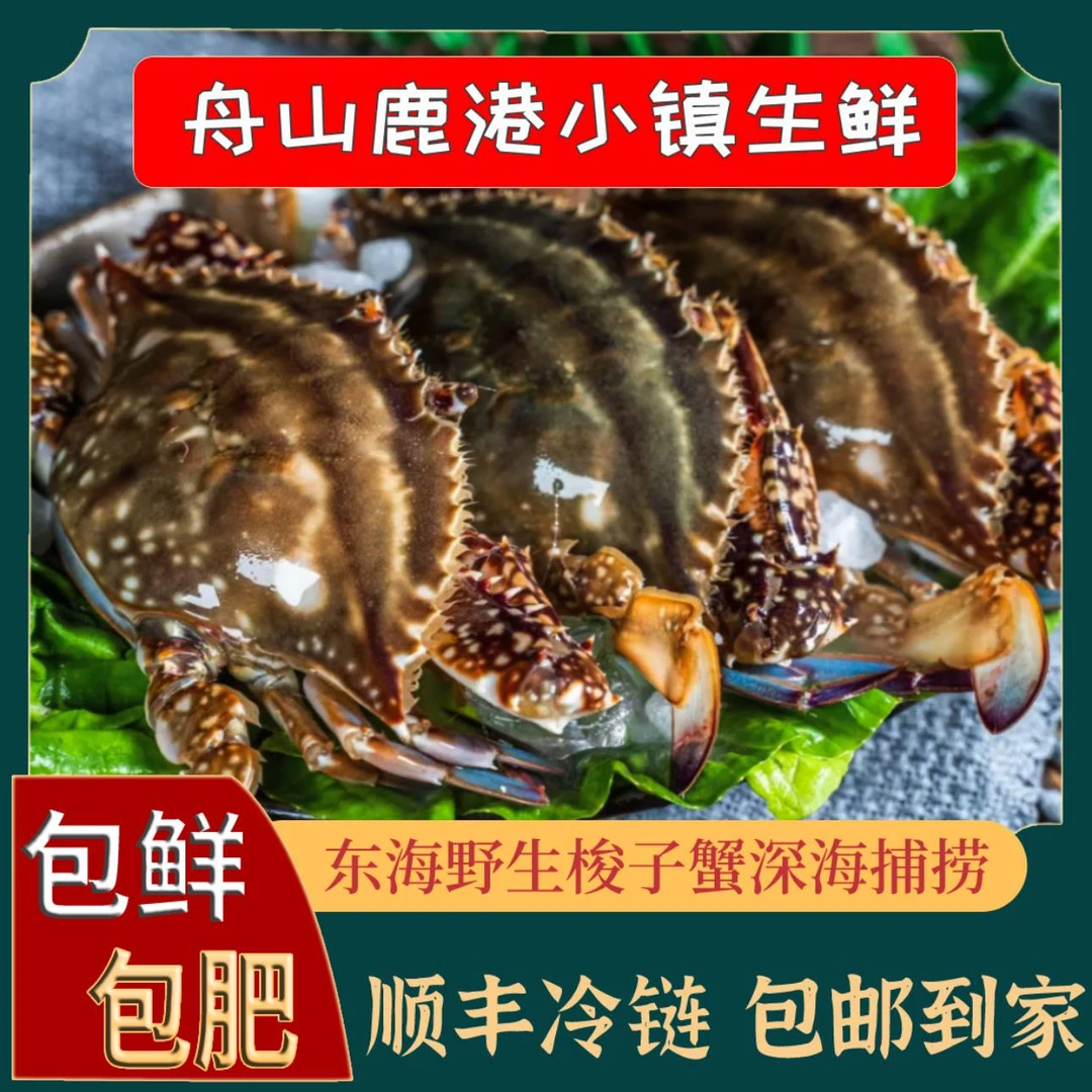 【舟山精品肉母蟹】自家渔船捕捞鲜活冷冻保鲜3-4两/只 海鲜螃蟹