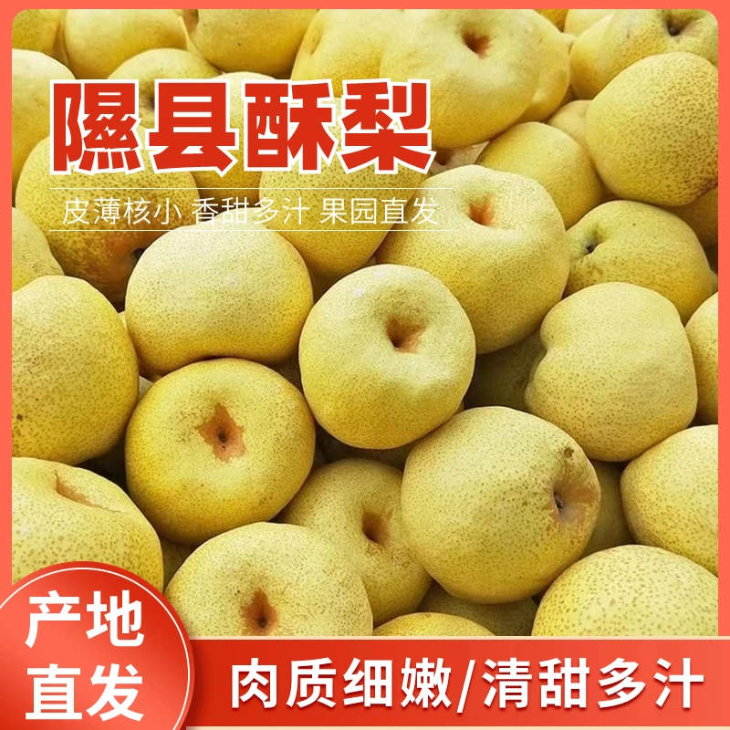 正宗隰县酥梨香梨皮薄多汁产地直发现摘现发包邮