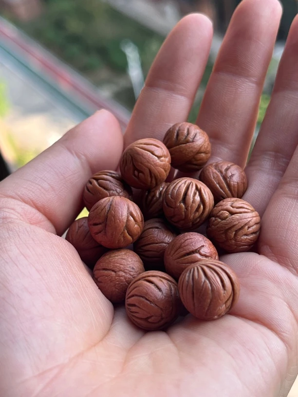 【满天星】秦岭龙纹桃核满天星散籽，手持，手串，脖挂