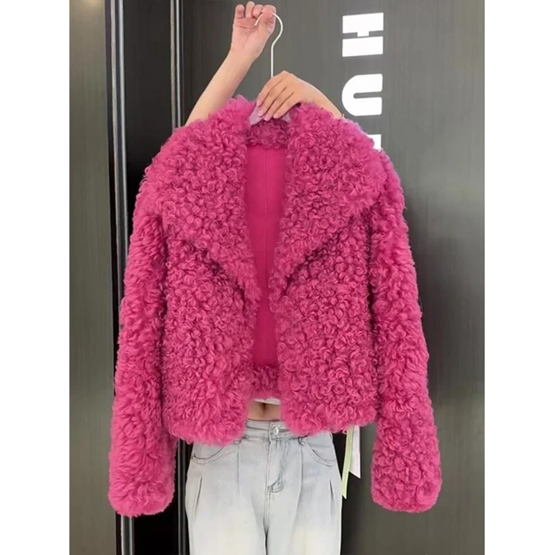 欧洲站2024年冬季新款气质翻领羊羔毛外套宽松显瘦名媛风高级感女