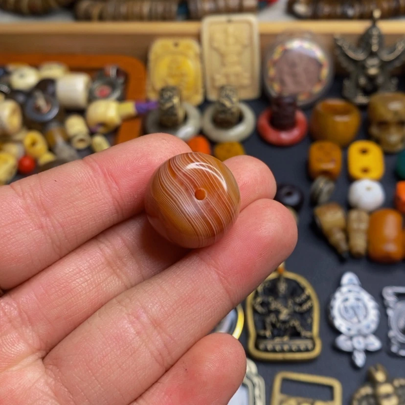 【闪购商品】红贵宝用****6