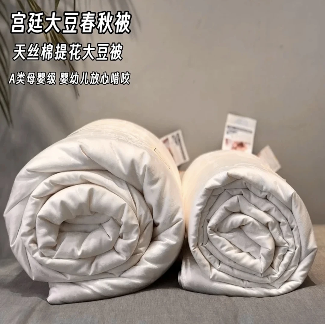 宫廷大豆天丝棉提花大豆蛋白纤维春秋被保暖被芯轻奢欧式