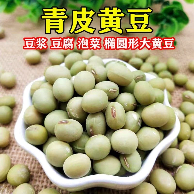 湖南湘西青皮黄豆农家自种无抛光打蜡5斤散装
