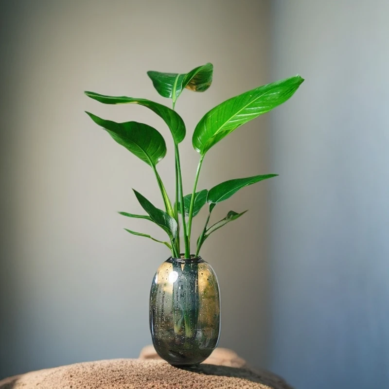 【买一送一】水培天堂鸟绿植四季常青水养植物花卉室内办公桌带花瓶