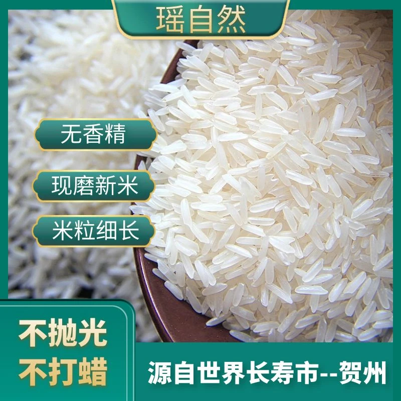 瑶自然广西猫牙米2025年新米农家种大米5斤10斤软糯优质长粒香米