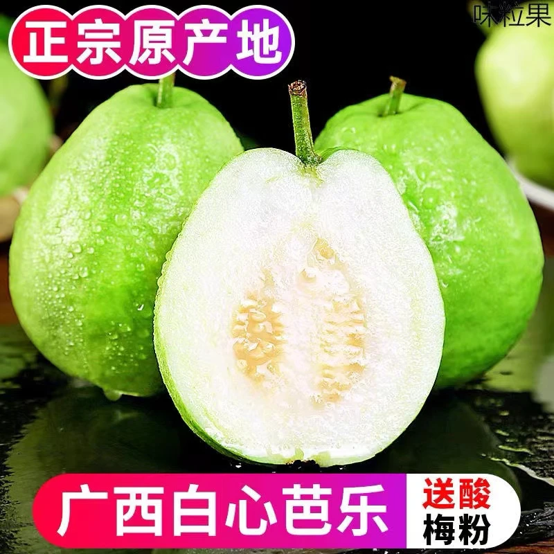【浮力+粉丝】广西软心白心番石榴新鲜水果1斤装