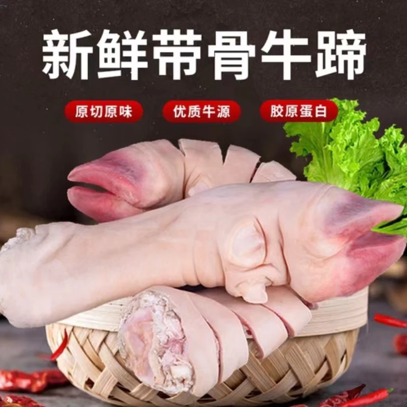 新鲜黄牛牛蹄   连云港发货 黄牛蹄