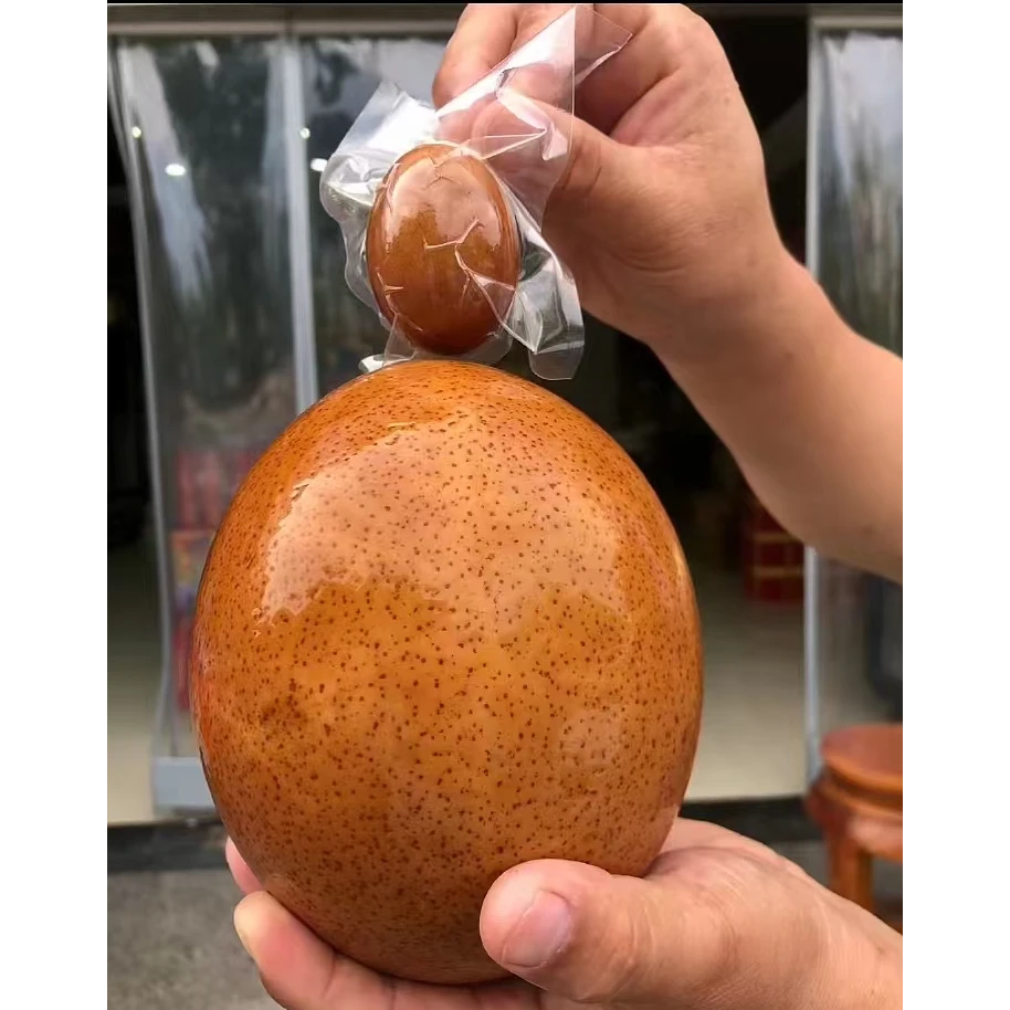 五香烤鸵鸟蛋1800度炭火高温淬烤鸸鹋蛋