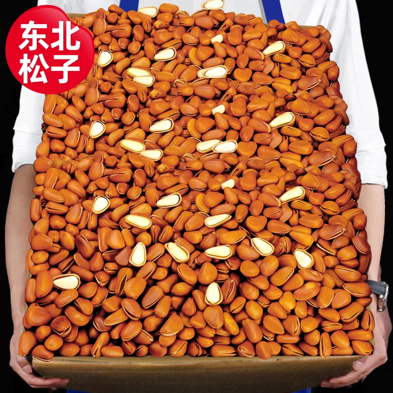 特大颗粒950A东北松子新货开口手剥新鲜颗粒红松坚果零食