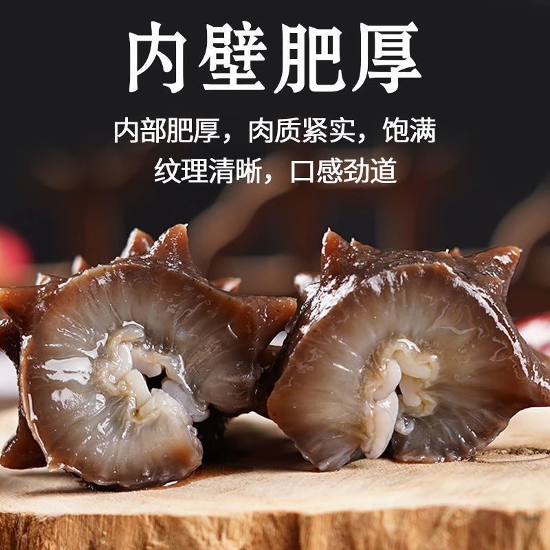 【年货节来袭】高品质鲜食海参底播刺参 独立包装 更多鱼