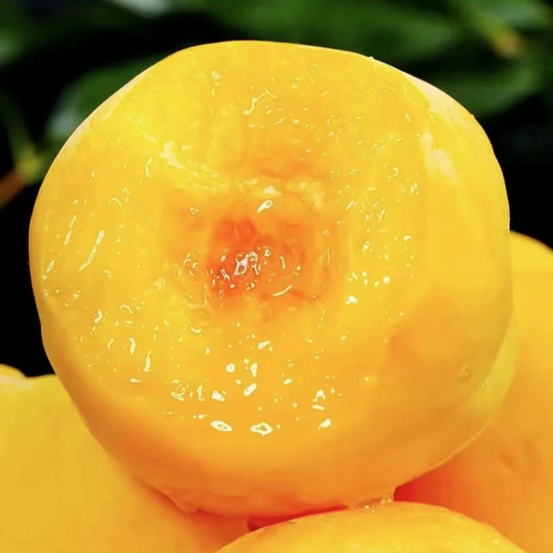 顺丰包邮正宗上海奉贤锦绣黄桃当季时令水果现摘现发红心包甜