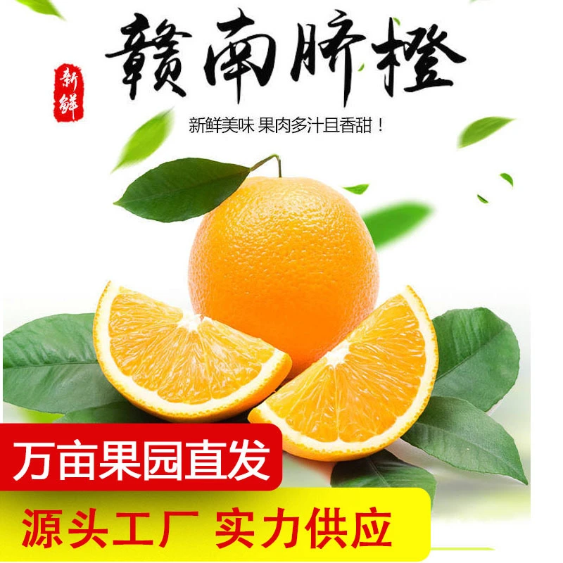 【正宗赣南脐橙】永记果业新鲜采摘现摘现发原产地阳光香甜橙味发货