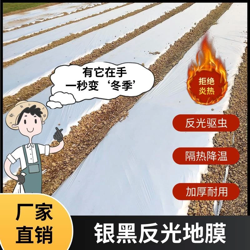农用银黑双色地膜反光保湿降温除虫除草盖草果树果园蔬菜大棚专用
