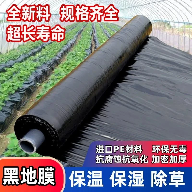 农用地膜红薯专用种菜园保温保湿防长草果树黑色地膜地膜农用薄膜