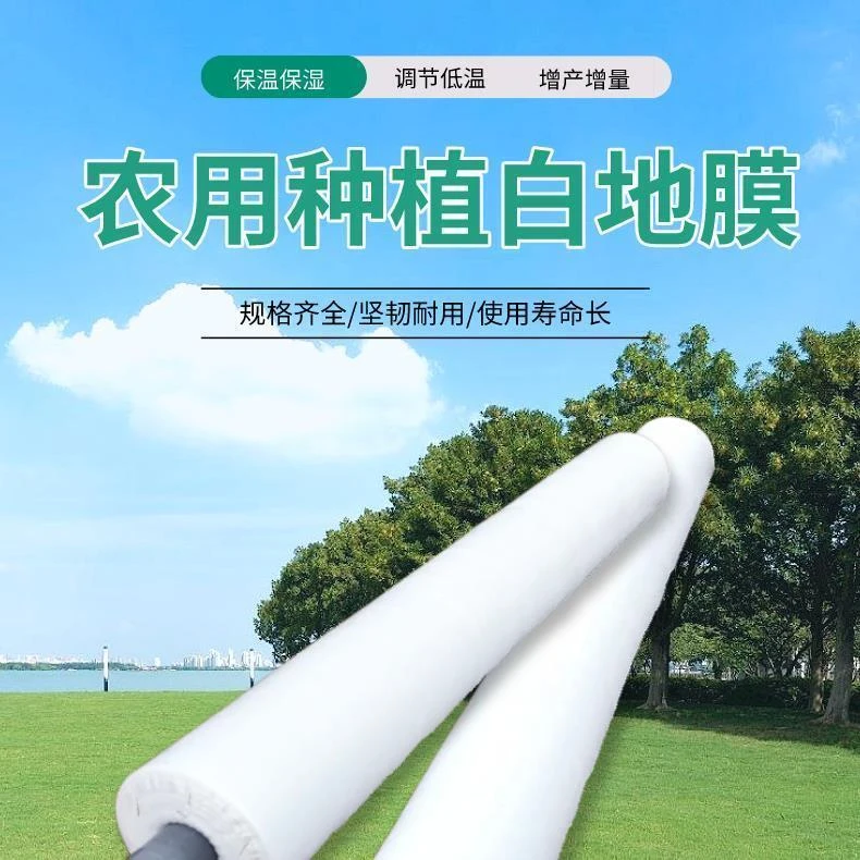 【白膜】农用白地膜保温塑料薄膜育苗透光蔬菜草莓大棚膜塑料布