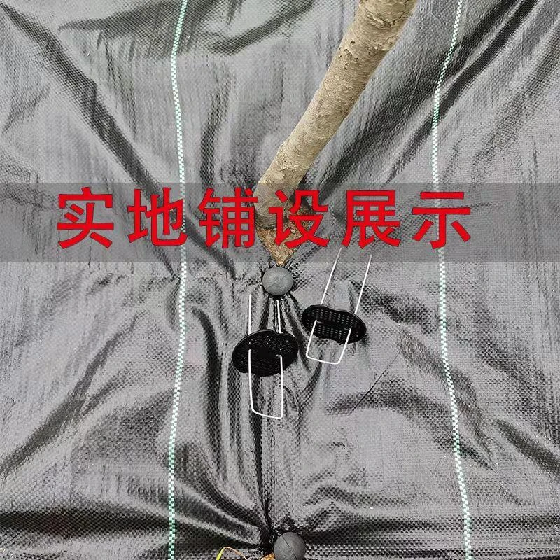 单张防草布果园果树除草布切片打孔遮盖草地布园艺地膜农用地布钉