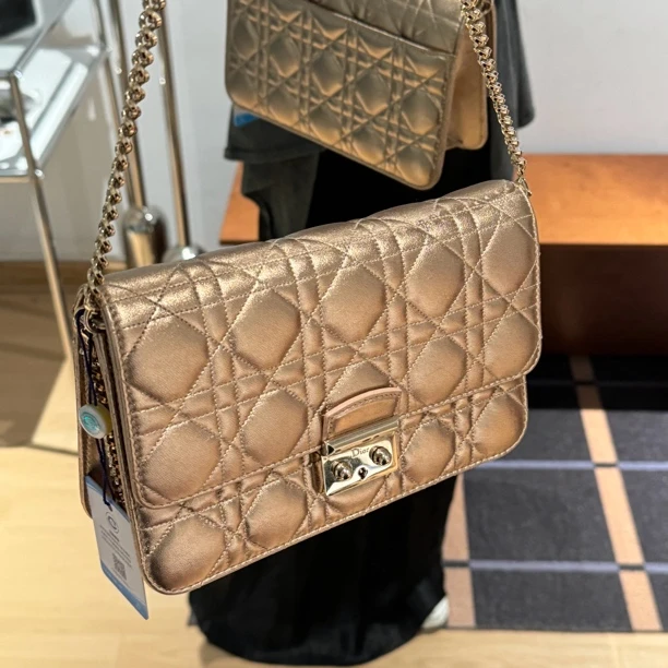 95新 DIOR/迪奥 藤象/斜挎包