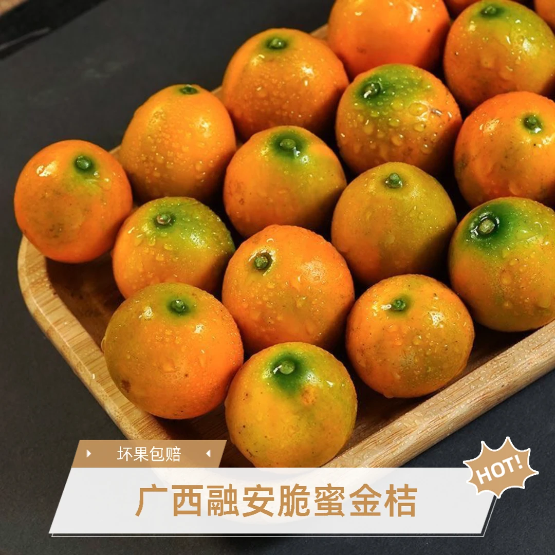 【正宗第三代脆蜜金柑】融安脆蜜金桔水果应季新鲜桔子纯甜脆皮薄皮
