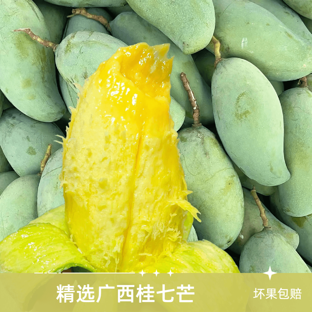 主播福利偏远专享｜5/9斤广西桂七芒核薄无丝纯甜无酸肉质滑嫩现摘
