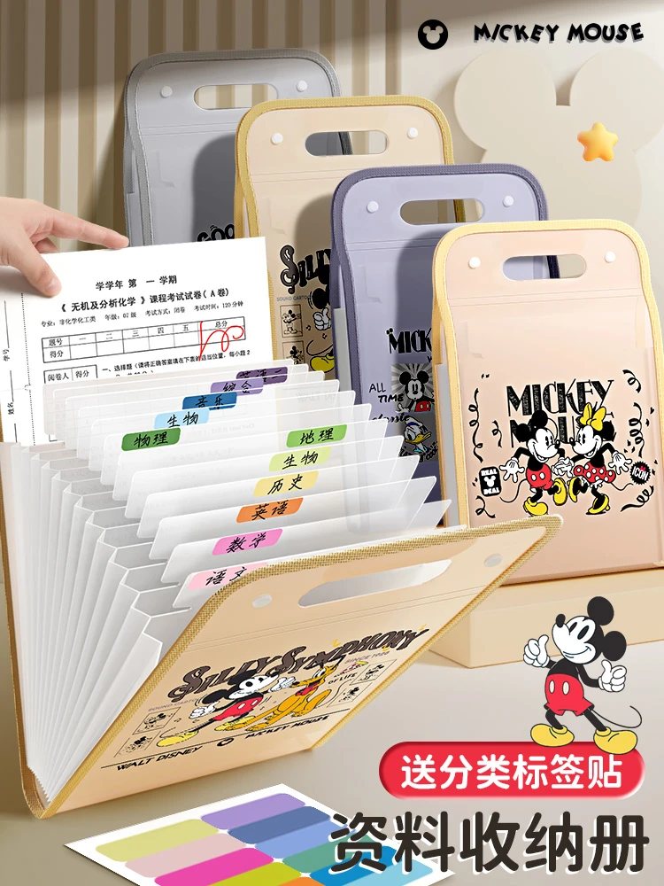 联众迪士尼13格竖式风琴文件袋DSN 9310（款式随发）