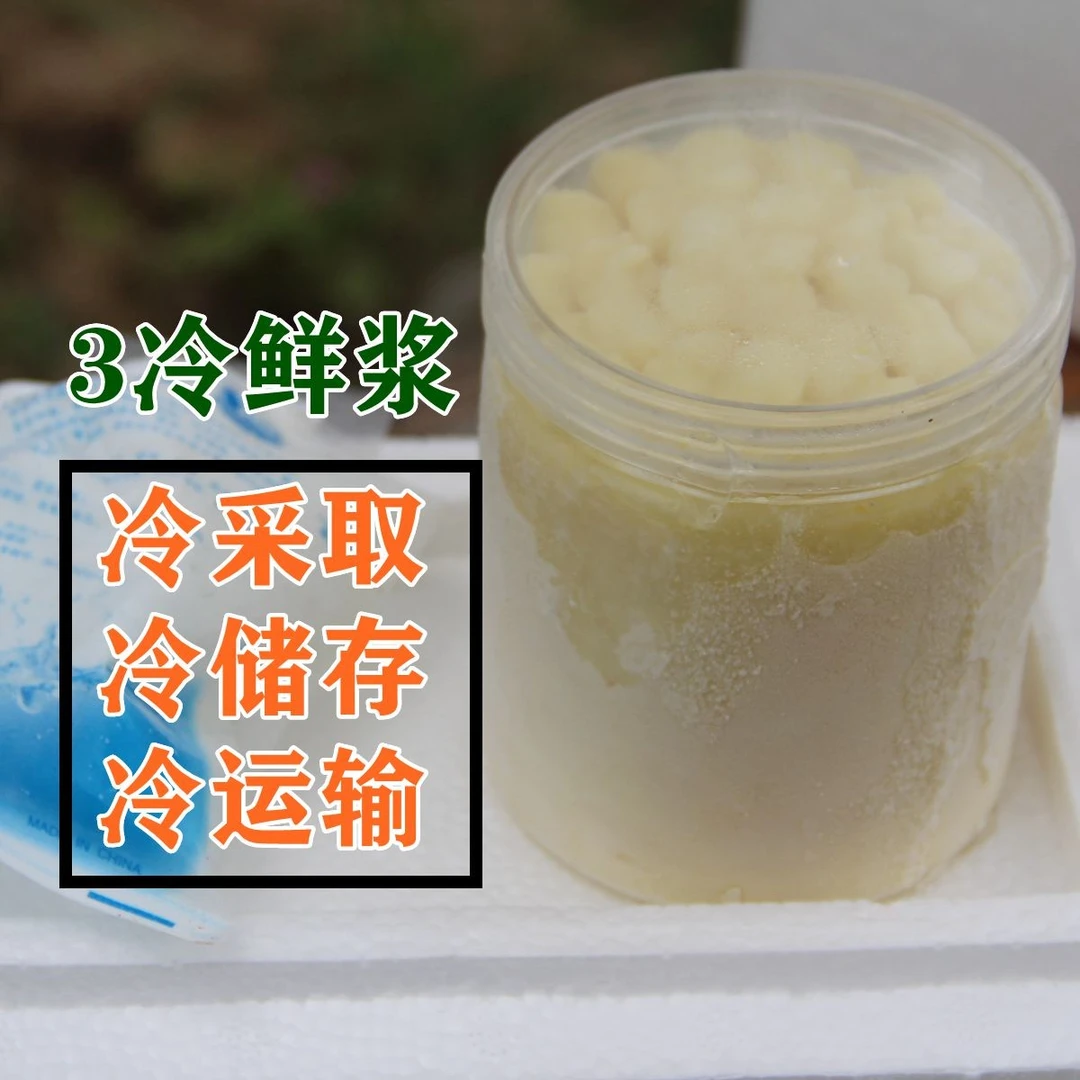 农家自产鲜活蜂王浆 春季 手工挖头茬 500克 顺丰冷链包邮 活性