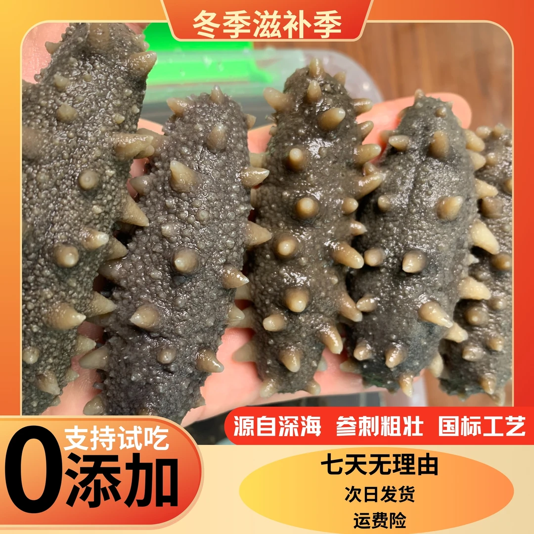 深海野生纯淡干 90-100头国标干海参 14-16倍涨发一斤装肉厚Q弹