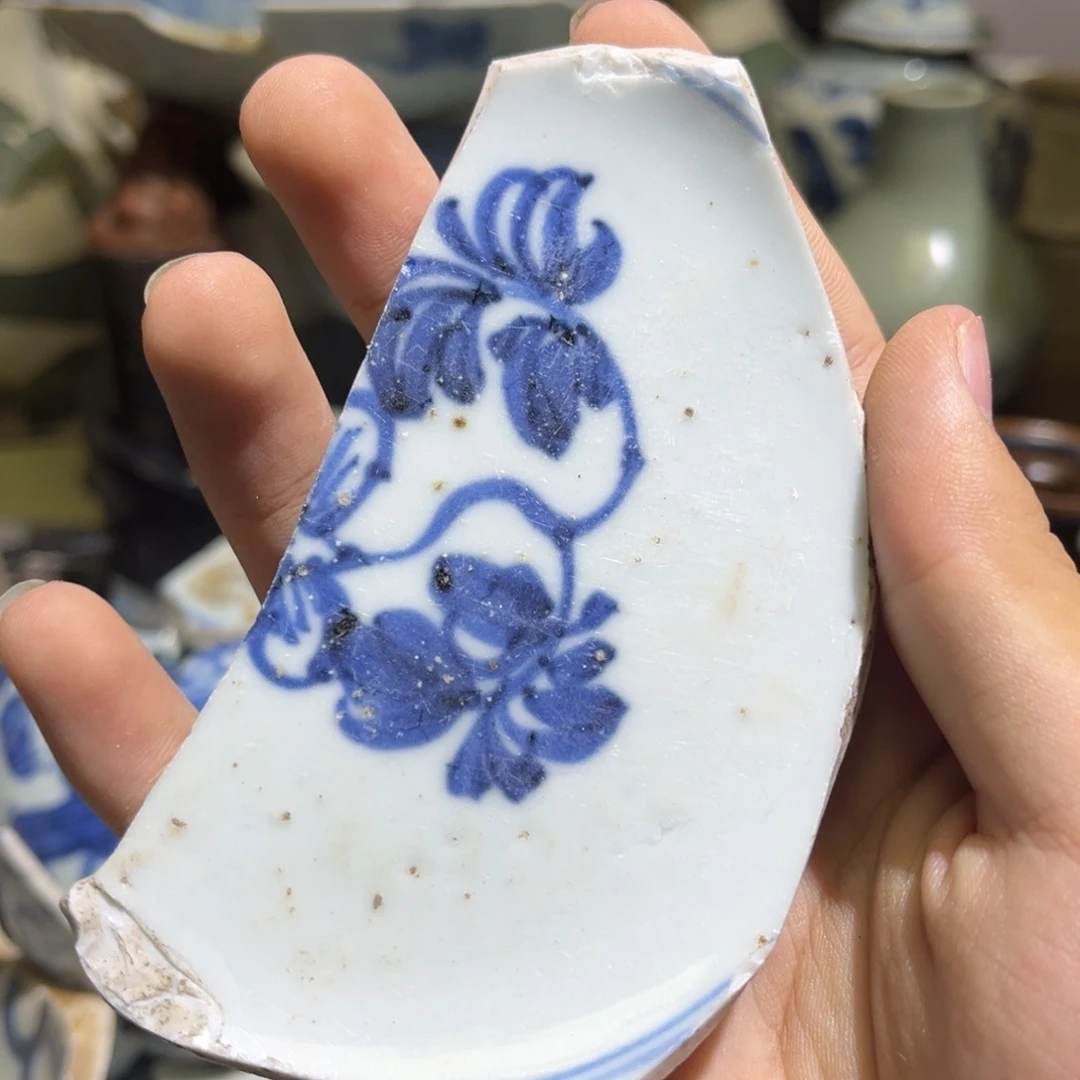 瓷片瓷片学习标本50