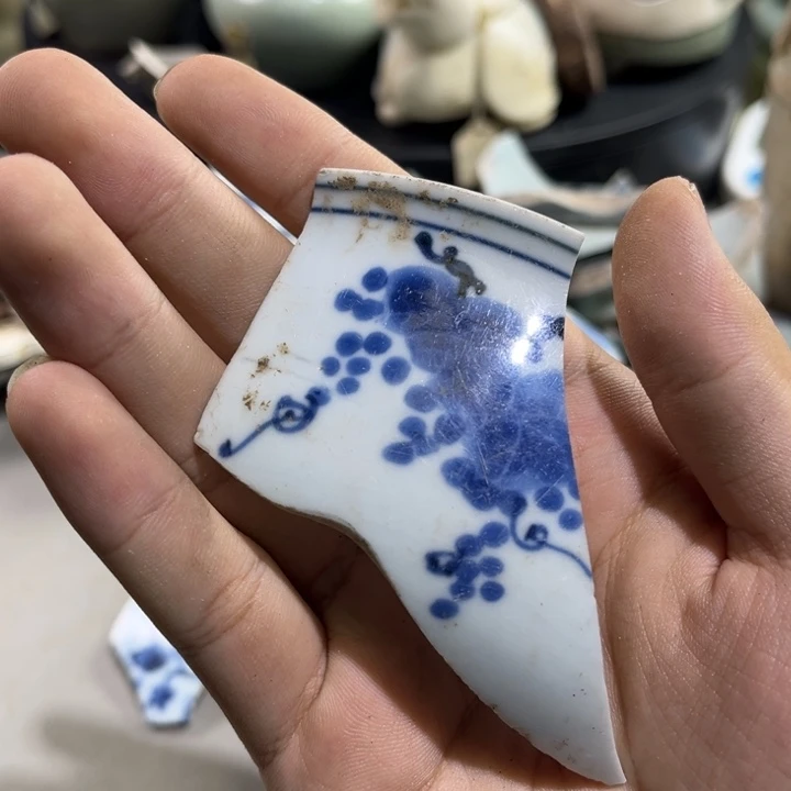 瓷片瓷片学习标本32