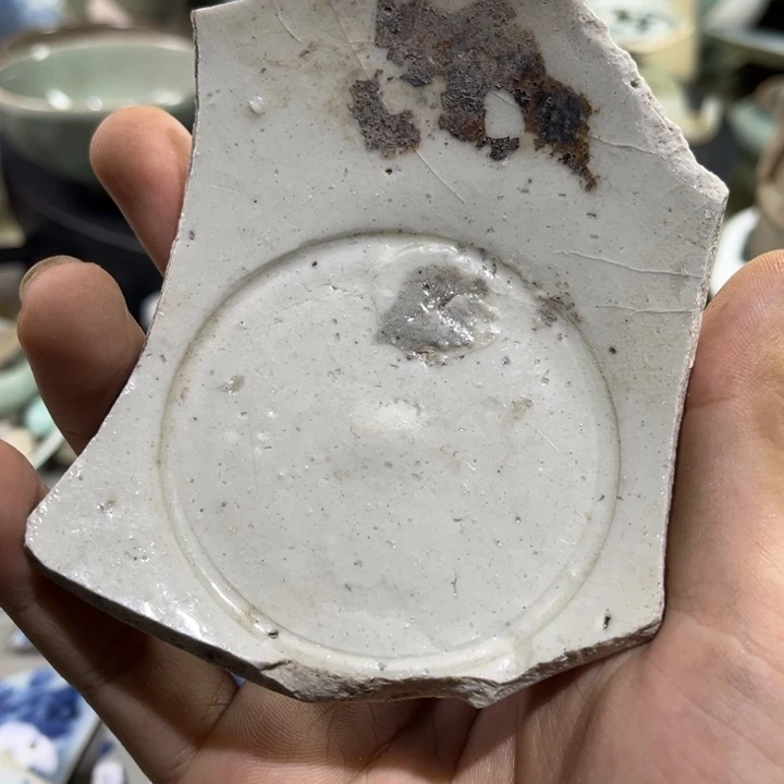 瓷片瓷片学习标本187