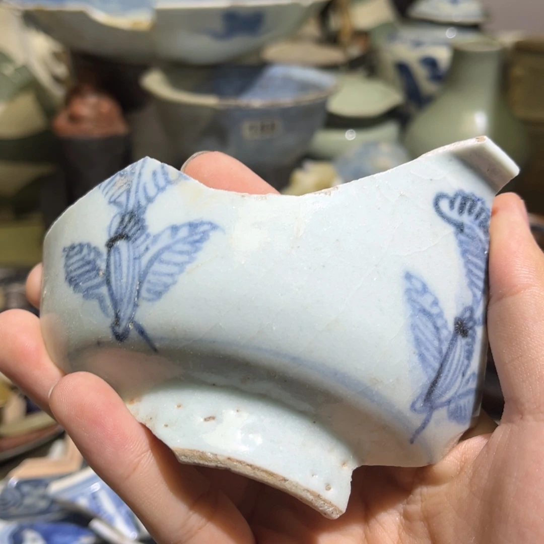瓷片瓷片学习标本21